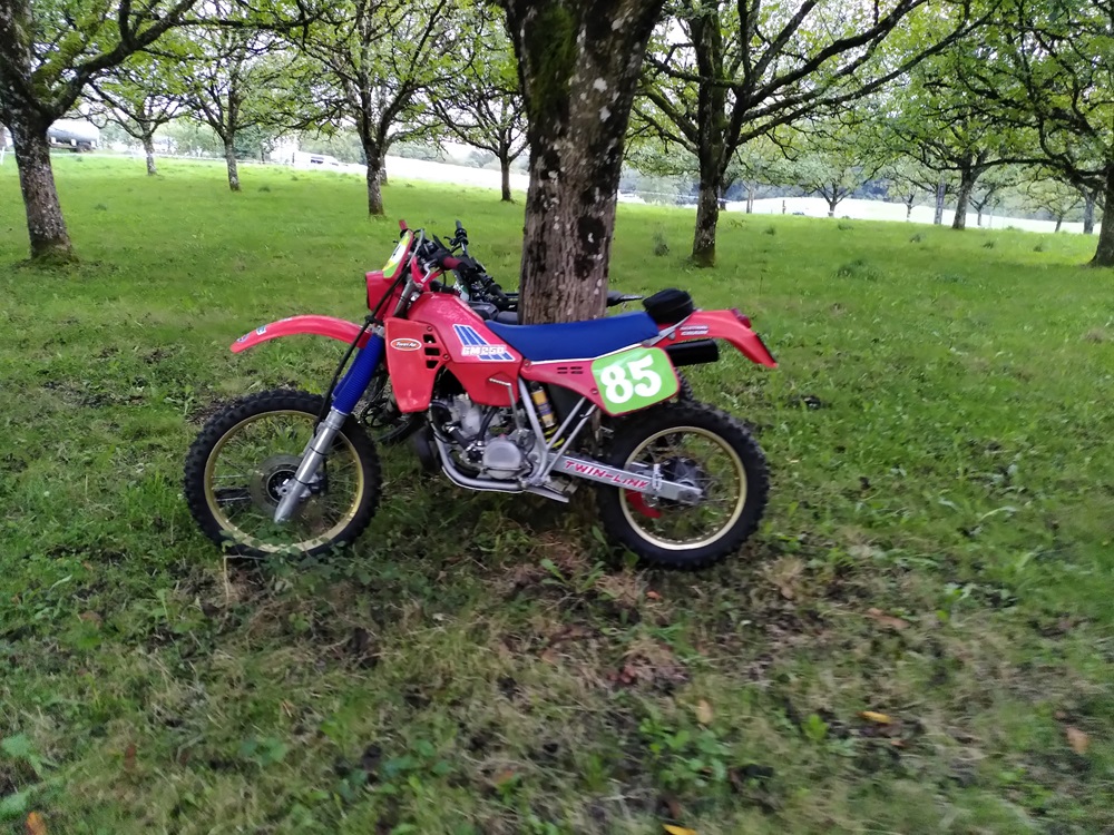 IMG_20250912_200254.jpg