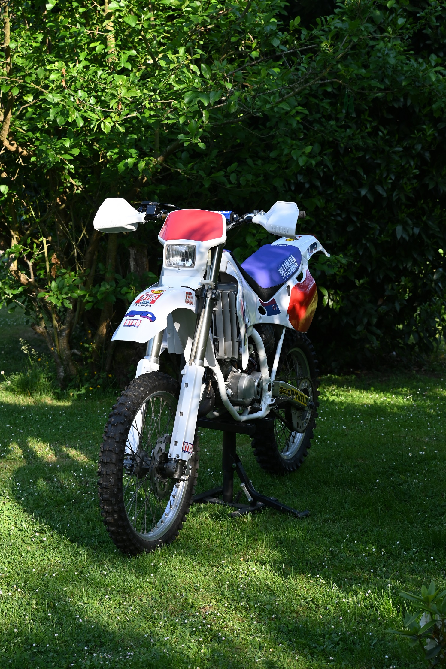 19b.jpg